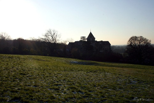 Winter in London VI - Birgit Whelan